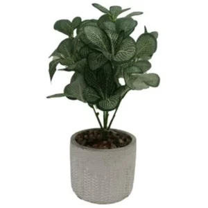 ARTIFICL. NERVE PLANT W/ GRY POT