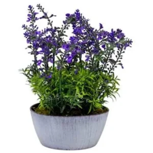 ART. LAVENDER IN WHITE POT
