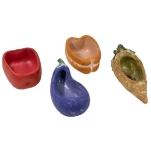4PC VEGETABLE PLANT'R